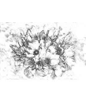 Obrazy czarno białe - Obraz drukowany Grafika magnolie (1-częściowy) szeroki