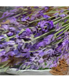 obrazy kwiaty Obraz na płótnie długi Lawenda dla Edgara Degasa