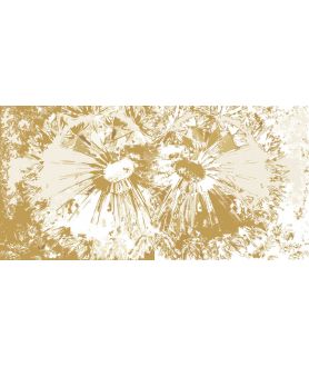 Obrazy dmuchawce - Obraz Kwiaty dmuchawców (2-częściowy) szeroki