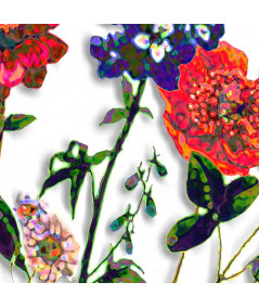 Obrazy na ścianę - Kwiaty malowane akwarelami obraz Kwitnąca łąka