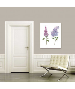 Obrazy na ścianę - Obrazek na białym tle Bez fioletowy i różowy