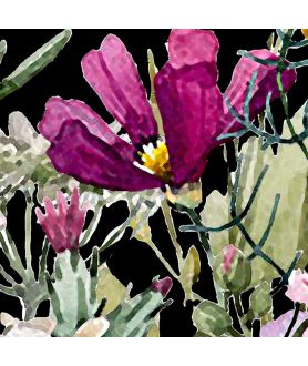 Obraz na płótnie Obrazy kwiaty na czarnym tle Wiosenna łąka akwarela