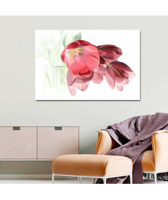 Obrazy na ścianę - Obraz na białym tle Tulipany romantyczne