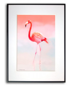 Plakat z flamingiem w ramie Flaming różowy