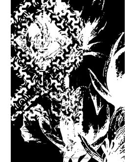 Plakat z ramą - Czarno białe kwiaty magnolii
