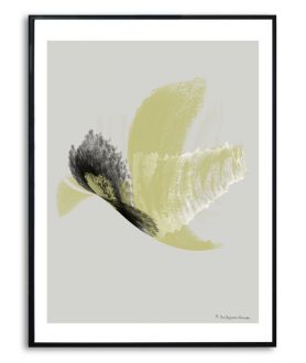 Plakat koliber w ramie Simplicity no. 52