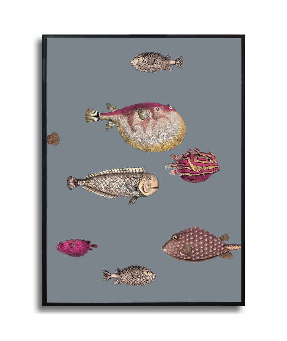 Plakat na ścianę - Fornasetti ryby na szarym tle