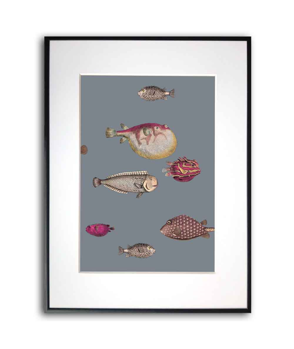 Plakat passe-partout - Fornasetti ryby na szarym tle