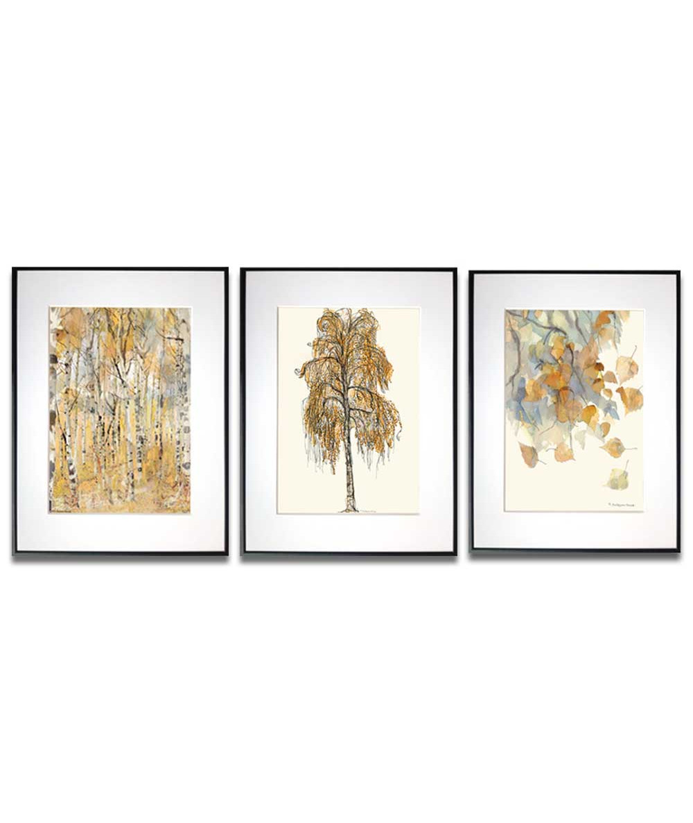 3 plakaty brzozy, plakaty z motywem drzewa, liści