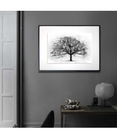 Plakat grafika czarno biała - Czarne drzewo