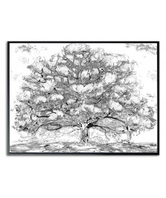 Plakat graficzny - Drzewo magnolii czarno białe