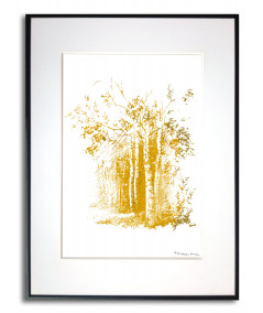 Plakat na ścianę - Złote drzewa