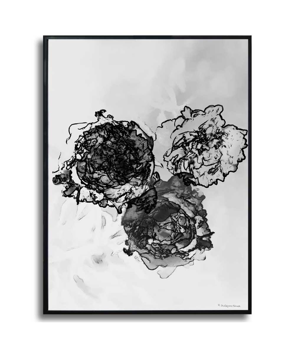Plakat akwarela kwiaty - Peonie czarno białe