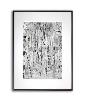 Plakat drzewa - Las brzozowy