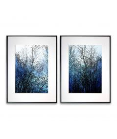 Niebieskie plakaty - Zamyślone drzewa