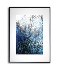 Niebieskie plakaty - Zamyślone drzewa