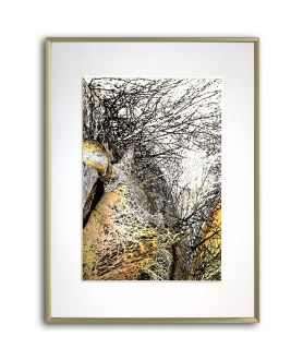 Awangardowy plakat - Między gałęziami drzew