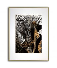 Plakat czarno-biały z kolorem brązowym - Zagadki drzew