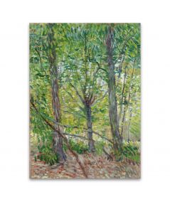 Obrazy na ścianę - Van Gogh obraz na płótnie - Drzewa i poszycie