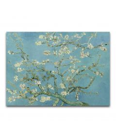 Obrazy na ścianę - Vincent van Gogh obraz na płótnie - Migdałowiec