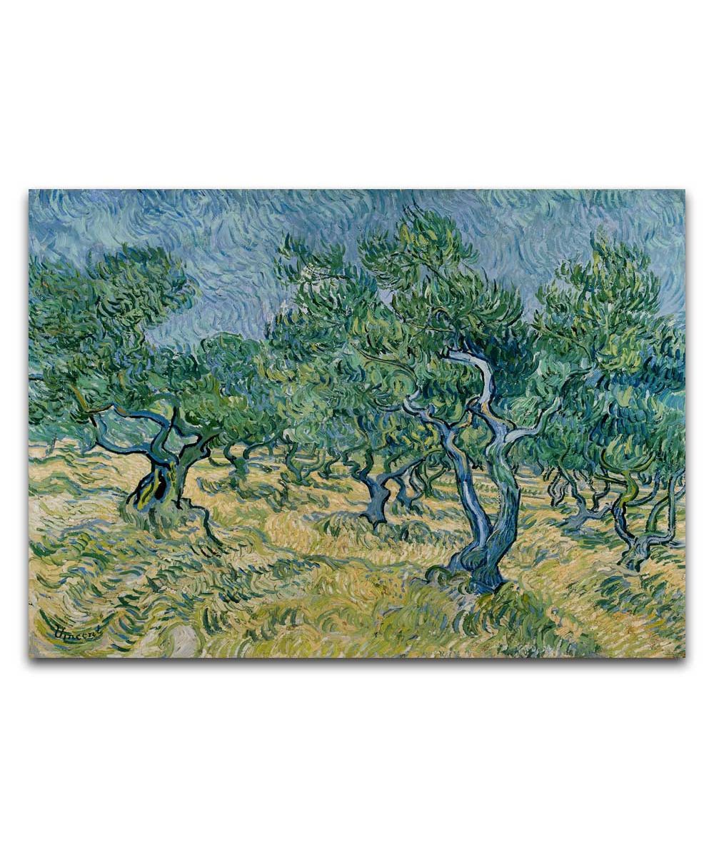 Obrazy na ścianę - Obraz Vincenta van Gogha - Gaj oliwny 2