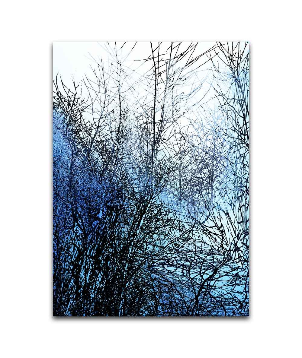 Obrazy na ścianę - Obraz natura na płótnie - Granatowa mgła