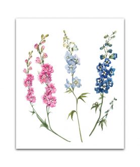 Obrazy kwiaty - Kwiaty ogrodowe obrazek Ostróżka niebieska i różowa