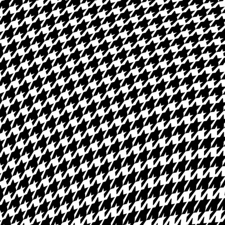 Obrazy 3d - Obraz 3d czarno biały Pepitka drag (1-częściowy) szeroki