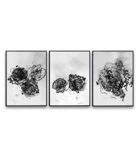 3 plakaty czarno-białe kwiaty - Akwarelowa kwiatowa impresja