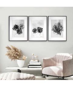 3 plakaty kwiaty czarno białe - Akwarelowa kwiatowa impresja