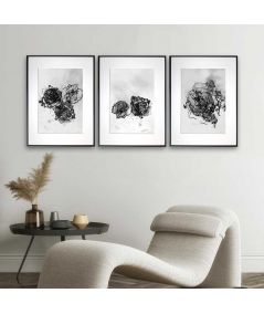 3 plakaty kwiaty czarno białe - Akwarelowa kwiatowa impresja