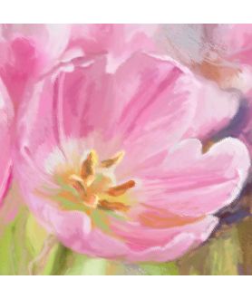 Obrazy kwiaty - Obraz kwiaty na płótnie Różowe tulipany