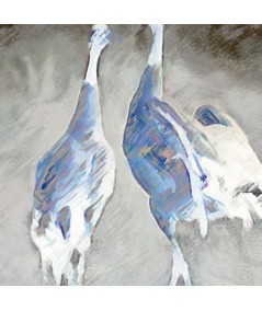 Obrazy zwierząt - Obraz industrialny Żurawie niebieskie