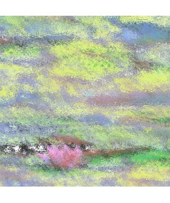 Obrazy na ścianę - Obraz pejzaż lilie wodne Nenufary (1-częściowy) szeroki