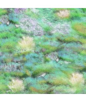 Obrazy na ścianę - Obraz zielony Nenufary kwiaty wodne